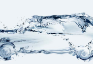 Using Technology To Drive Transparency