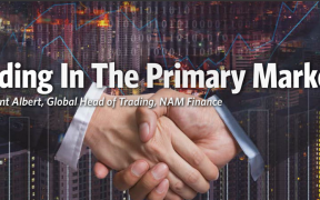Trading In The Primary Markets