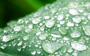 ICE Co-Ordinates Sustainable Finance