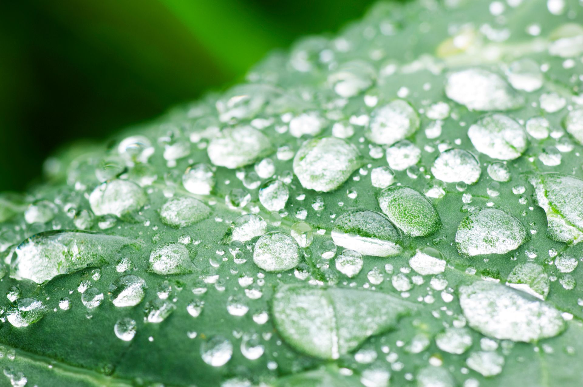 ICE Co-Ordinates Sustainable Finance