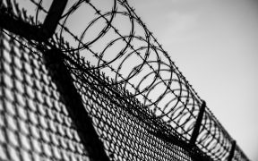 Traders: Managing Risk or Risking Jail